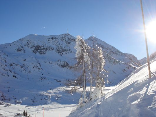 Schönheiten, neben den Pisten Obertauerns zu betrachten, fast so schön wie ein Christbaum
